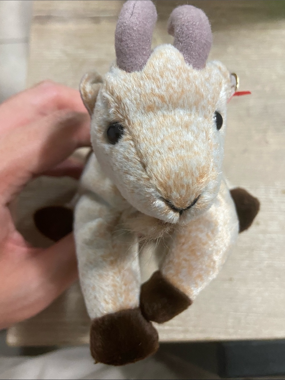 Ty Beanie Babies Goatee the Goat Retired RARE Mint 1998